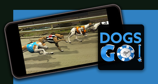 DOGS GO
