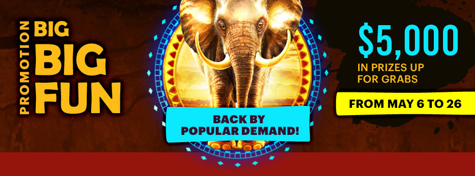 Big Big Fun promotion