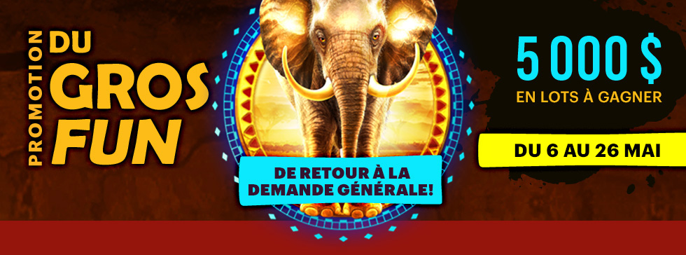 Promotion Du gros fun