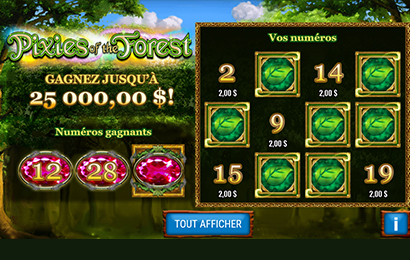 Pixies of the Forest