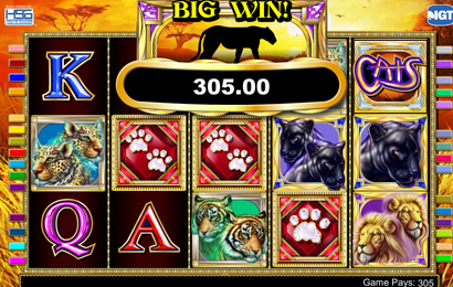 Play Cats Online | Grosvenor Casinos Play Cats Online | Grosvenor Casinos