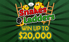 Snakes poker club quebec